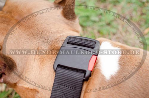 praktisches Hundehalsband fuer Amstaff aus
wasserfestem Nylon 