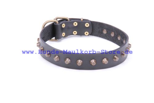 Nieten Halsband