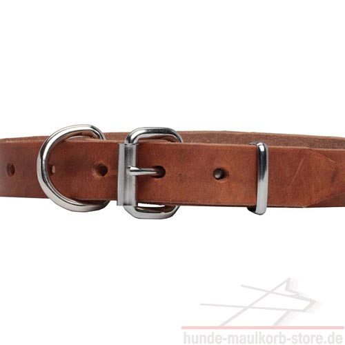 creative leather dog collar with stars