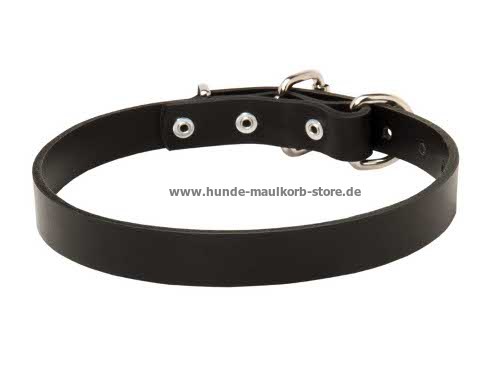 Hundehalsband aus Leder 