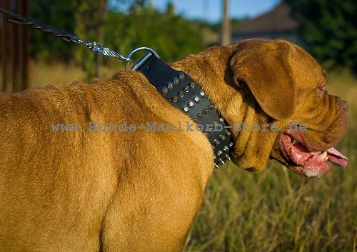 Hundehalsband mit Beschlägen aus Verchromtem Stahl und Pyramiden Dekor