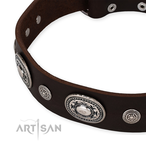 originelles Halsband fuer aktive Hunde