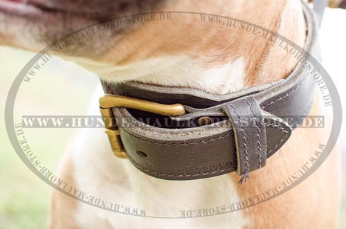 Hundehalsband 45 mm mit Handschlaufe