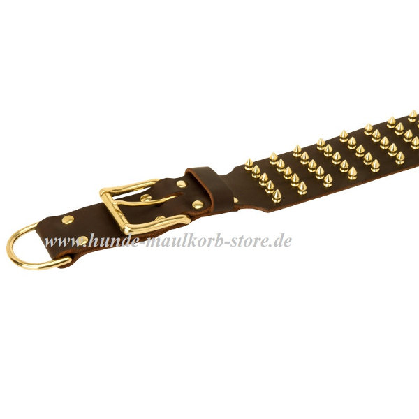 Luxus Hund Halsband kaufen