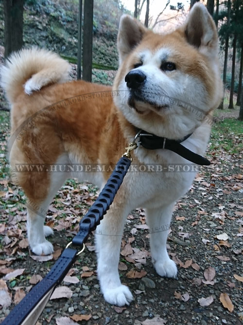Akita Inu Hundehalsband aus Leder