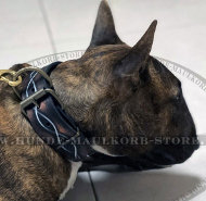 Bemaltes Stacheldraht-Lederhalsband für Bullterrier