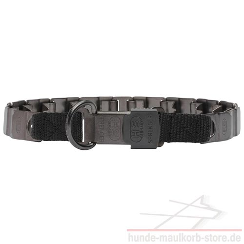 Dressur Halsband Edelstahl 