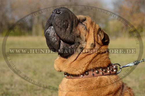 Klassisches Lederhalsband für Hunde ohne Griff