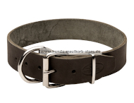 Schlichtes Hundehalsband Leder 4 cm