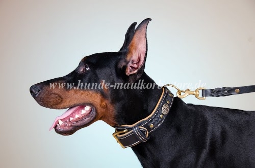 Leder Halsband für Dobermann bestellen