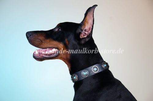 Design Lederhalsband für Dobermann