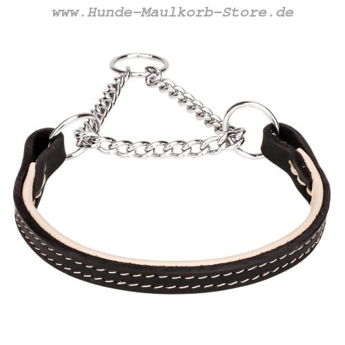 praktisches Dressur Halsband