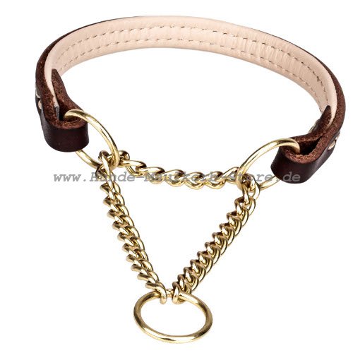 Dressur Halsband aus Curoagnmit Messing kette 