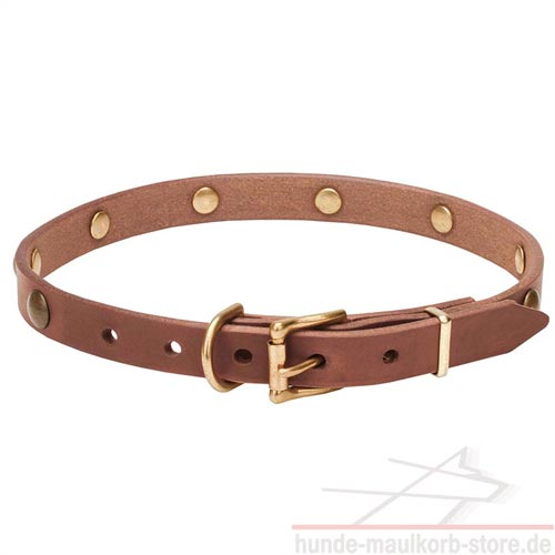 Robuste
Schnalle Hundehalsband