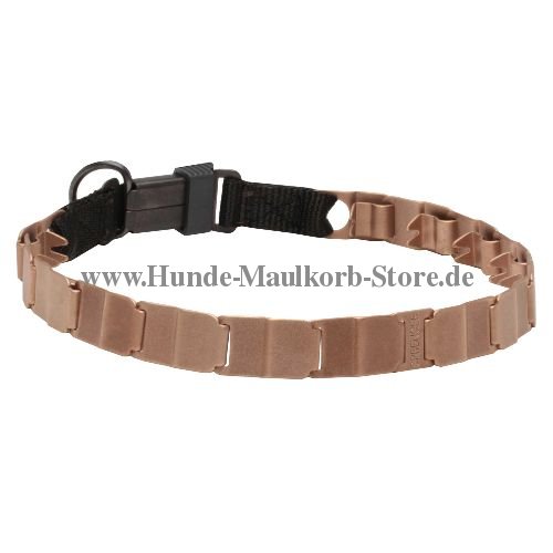Dressur Halsband aus Curoagn 