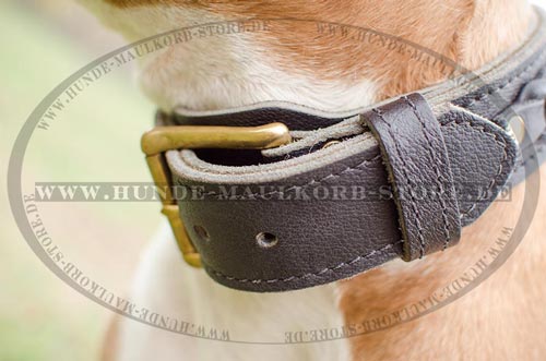 Hundehalsband geflochtenes Design