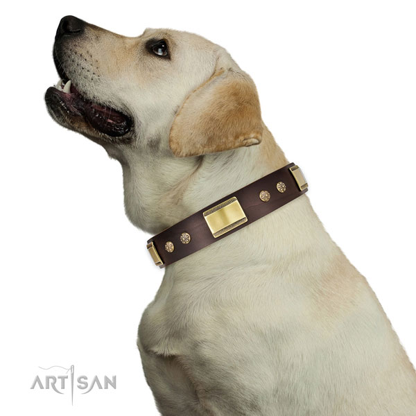 Labrador Halsband breit