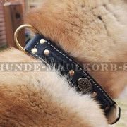 Gepolstertes Hundehalsband im Luxus Design für Akita