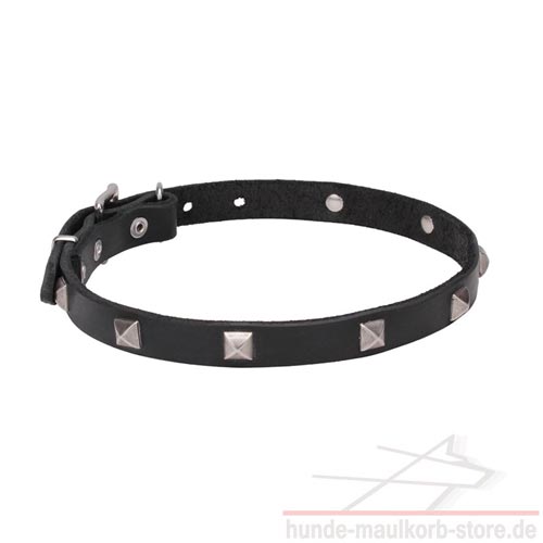 20 mm Halsband lebendig