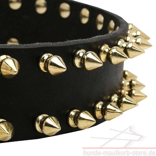 Design Fettleder Hundehalsband mit golden Spikes für Hunde