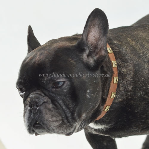 Franzoesische Bulldogge Hundehalsband Leder