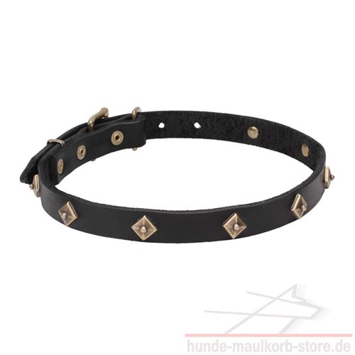 20 mm Halsband mit Geldkupfer Nieten