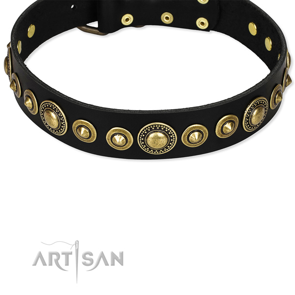 ideales Artisan FDT Lederhalsband 