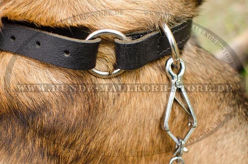 Leder-Hundehalsband für Gehorsam