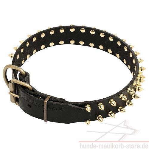 Luxus Fettleder Hundehalsband mit Nieten