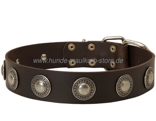 Halsband Leder mit Konchen fuer grosse Hunde