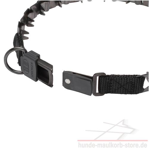 Sprenger Stachelhalsband stilvoll und praktisch