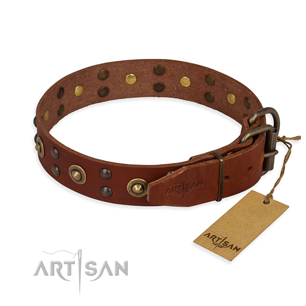 originelles Lederhalsband fuer Hund