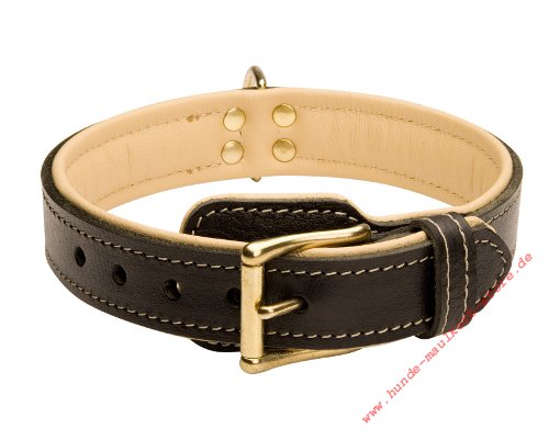 Klassisches Malinois Hundehalsband Nappa
Leder