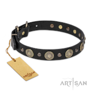 Leather Collar with the Mix of big and small Studs