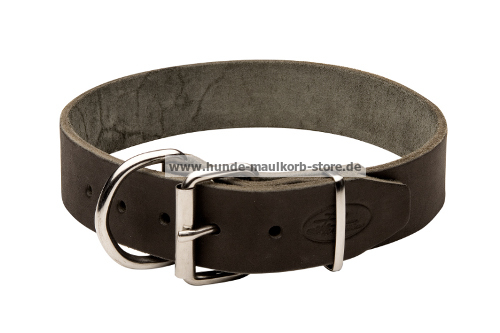 Hundehalsband aus Leder mit mit Schnalle kaufen