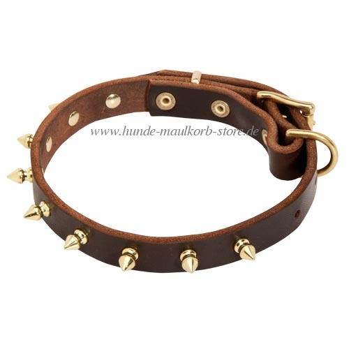 Hundehalsband Leder verziert mit Messing Spikes