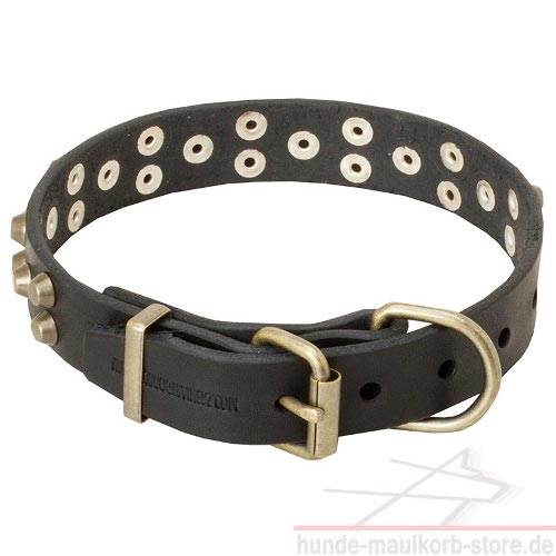 Design Hundehalsband aus Leder mit Nieten für
grossen Hund