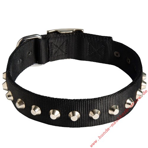 Halsband Nylon mit Nieten fuer grosse Hunde