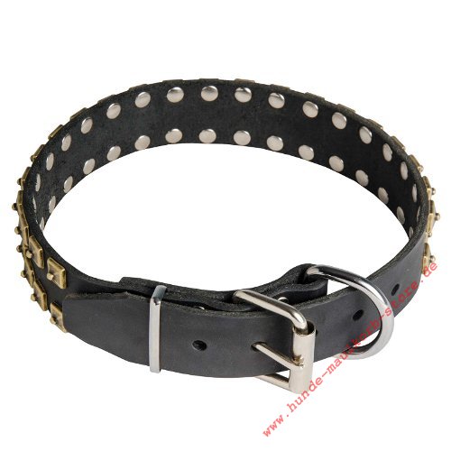 Halsband mit Nieten fuer Hunde mit Beschlaegen