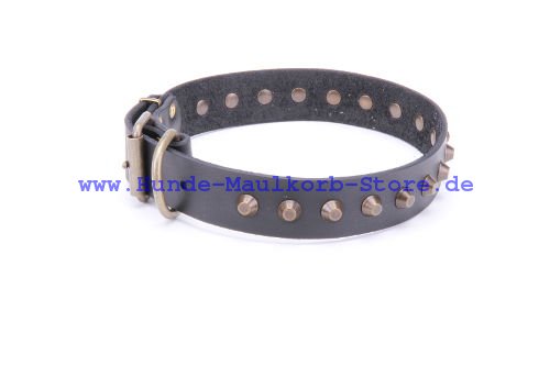 Luxury collar made of genuine leather