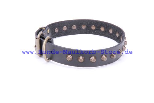 exklusives Halsband aus echtem Leder