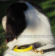 Strapazierfähiges Hundehalsband aus Nylon mit Schlaufe für Diensthunde