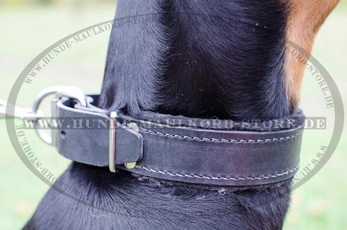 Gepolstertes Leder Halsband für Dobermann
kaufen