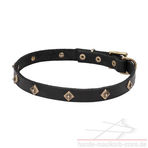 stilvolles, verziertes Nietenhalsband