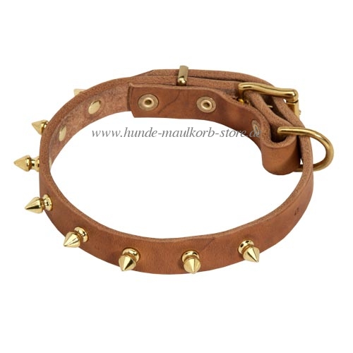 Hundehalsband mit Zier-Messingspikes für kleine Hunde