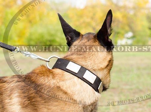 Malinois Halsband Nylon mit Chunks