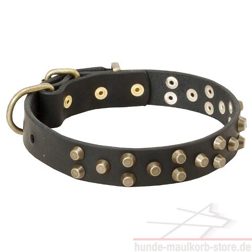 genietetes Hundehalsband aus Leder, Nietenhalsband für
grossen Hund