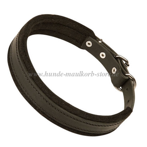 Klassisches Dobermann Hundehalsband Leder