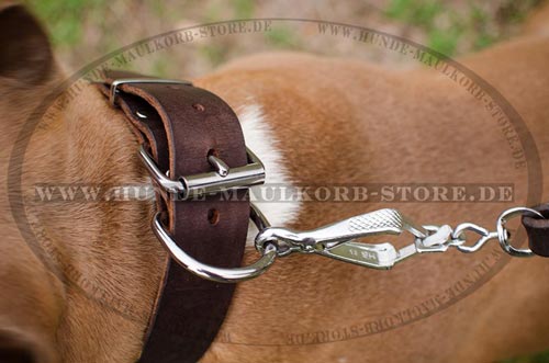 Hundehalsband 40 mm in schwarz