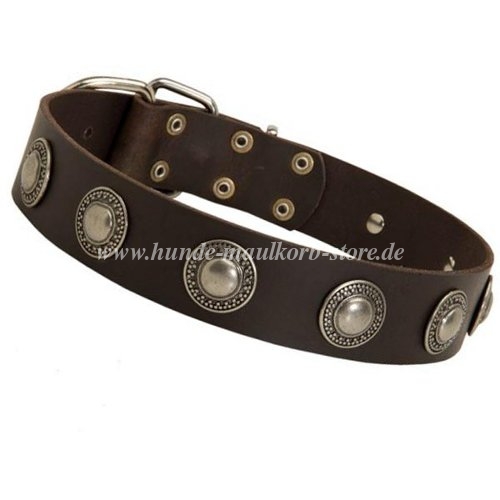 Dobermann Hundehalsband Leder mit Conchos